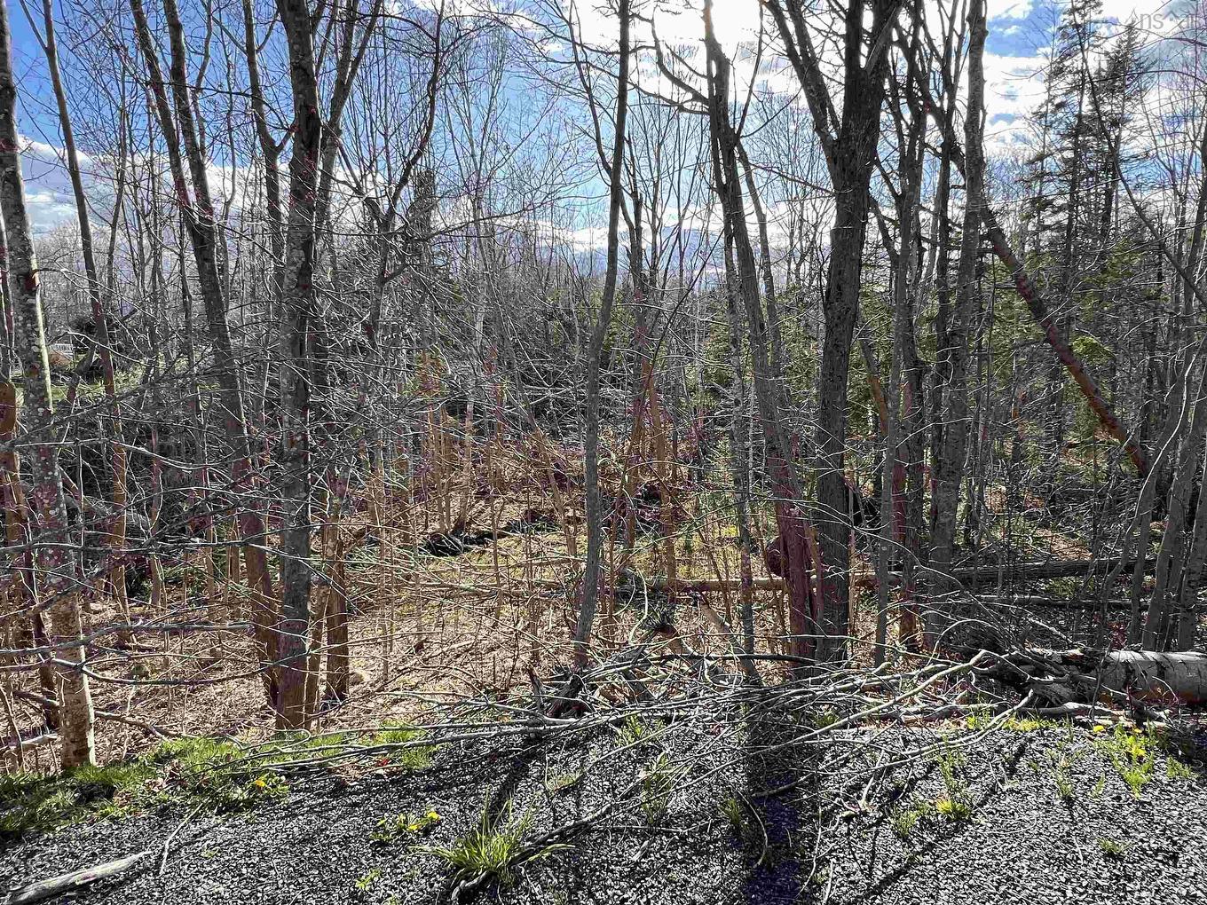 Lot 2-1-B Seaview Cemetary Road, Bay View, NS