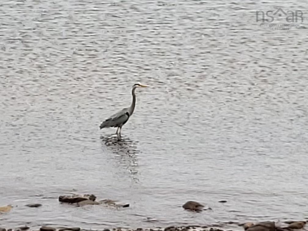 Shore Road, Waterside, NS