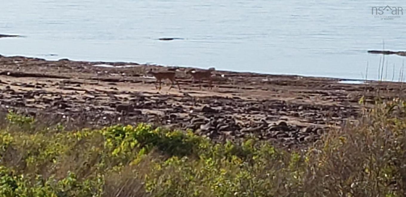 Shore Road, Waterside, NS