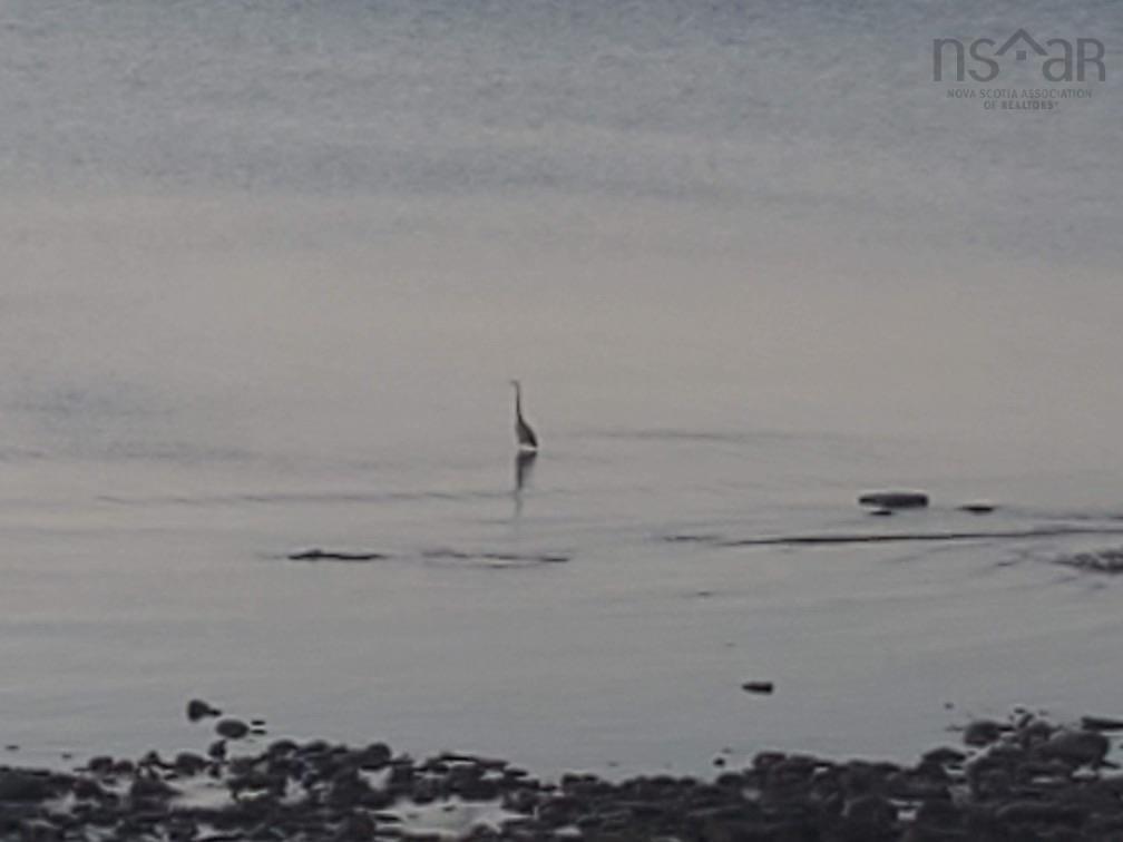 Shore Road, Waterside, NS