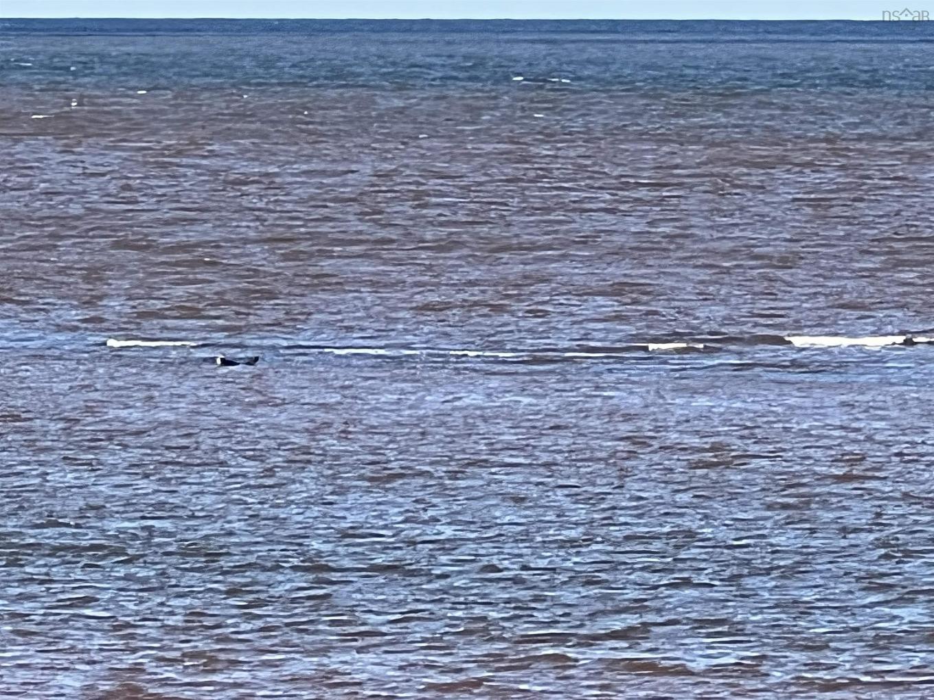 Shore Road, Waterside, NS