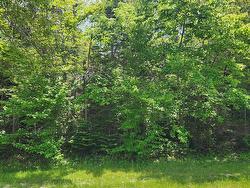 Acreage Greys Road Road Wood Islands, PE C0A 1R0