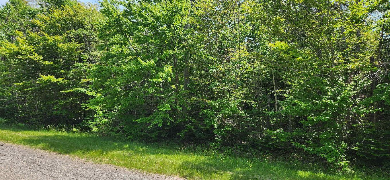 Acreage Greys Road Road, Wood Islands, PE