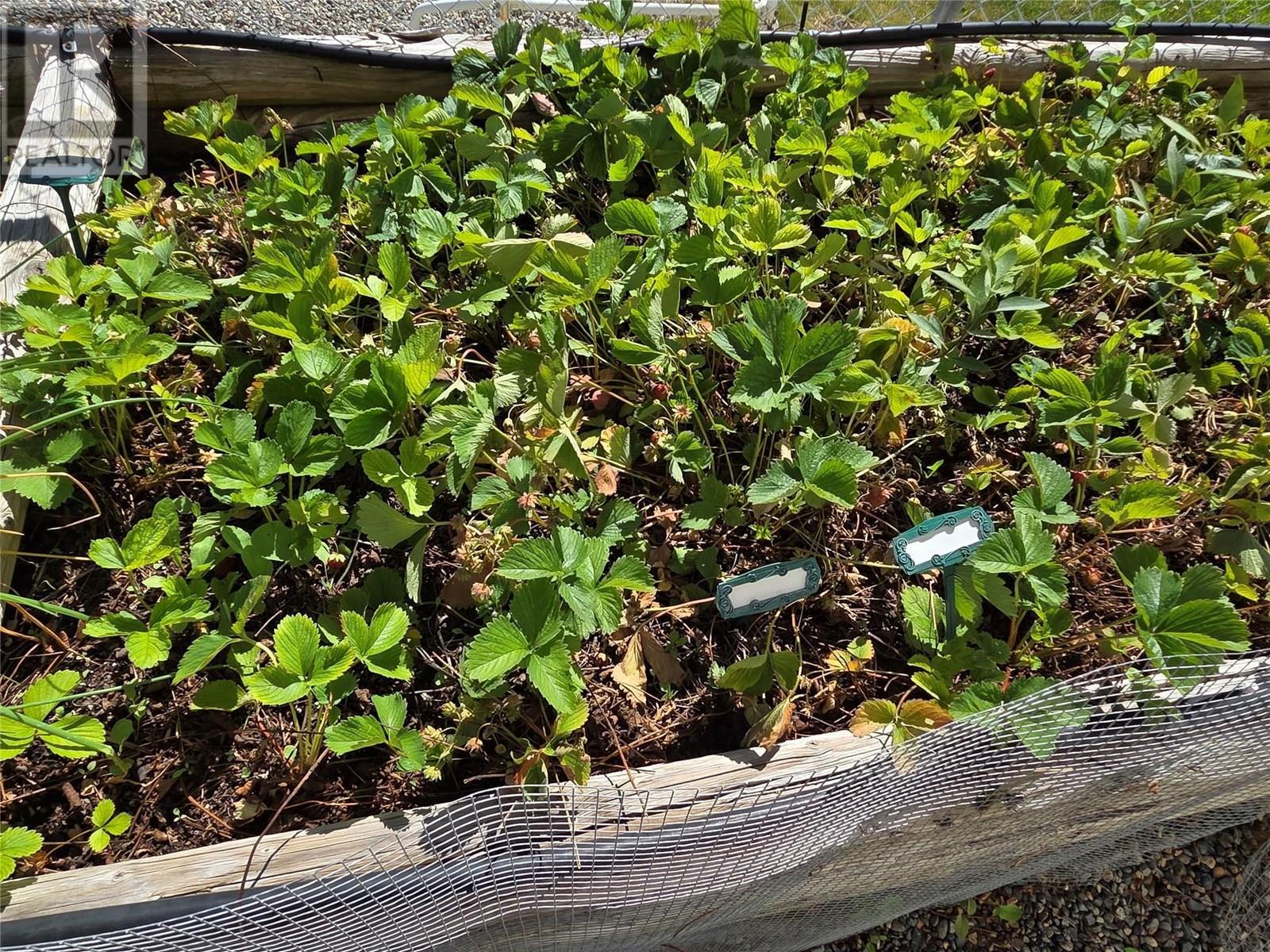 3455 Highway 3 Unit# 4, Keremeos, BC