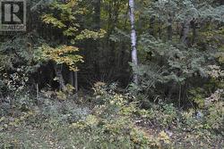 PTLT 61 OLD HASTINGS ROAD Wollaston, ON K0L 1P0