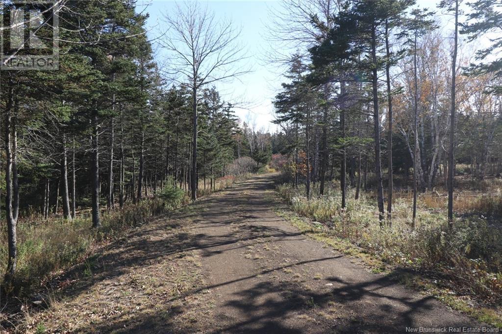 Lot 10-01 Golden Mile Drive, Grand Manan, NB