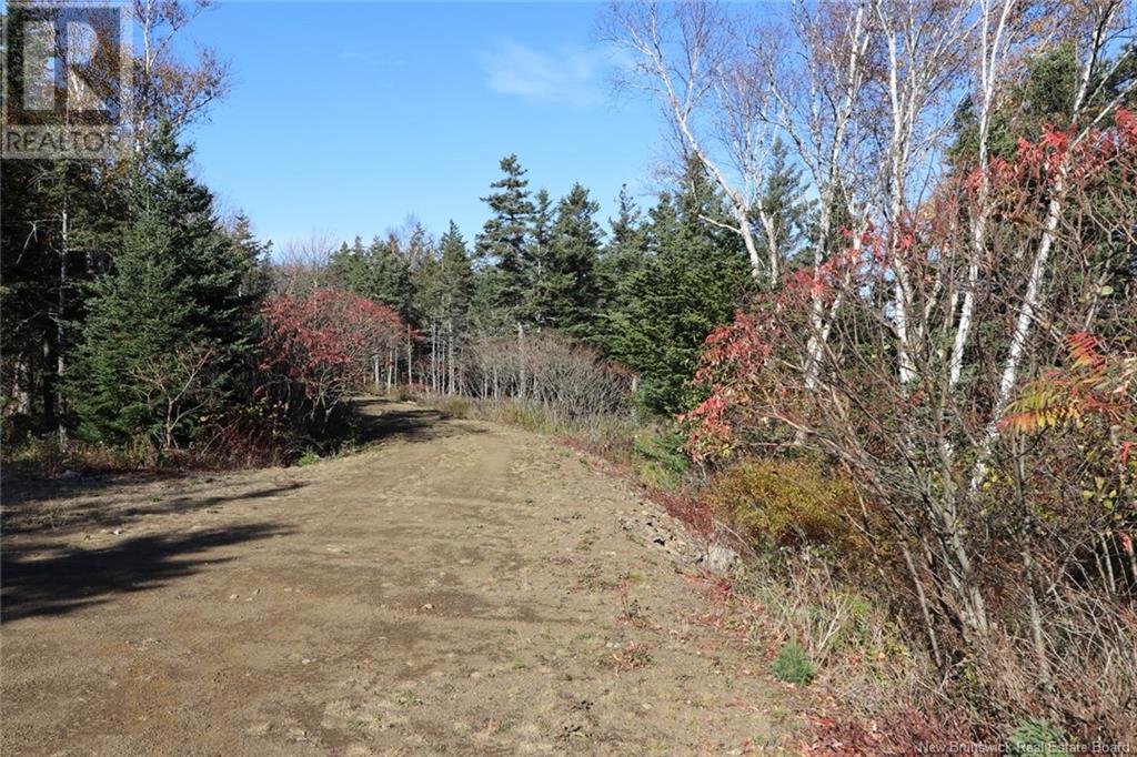 Lot 10-01 Golden Mile Drive, Grand Manan, NB