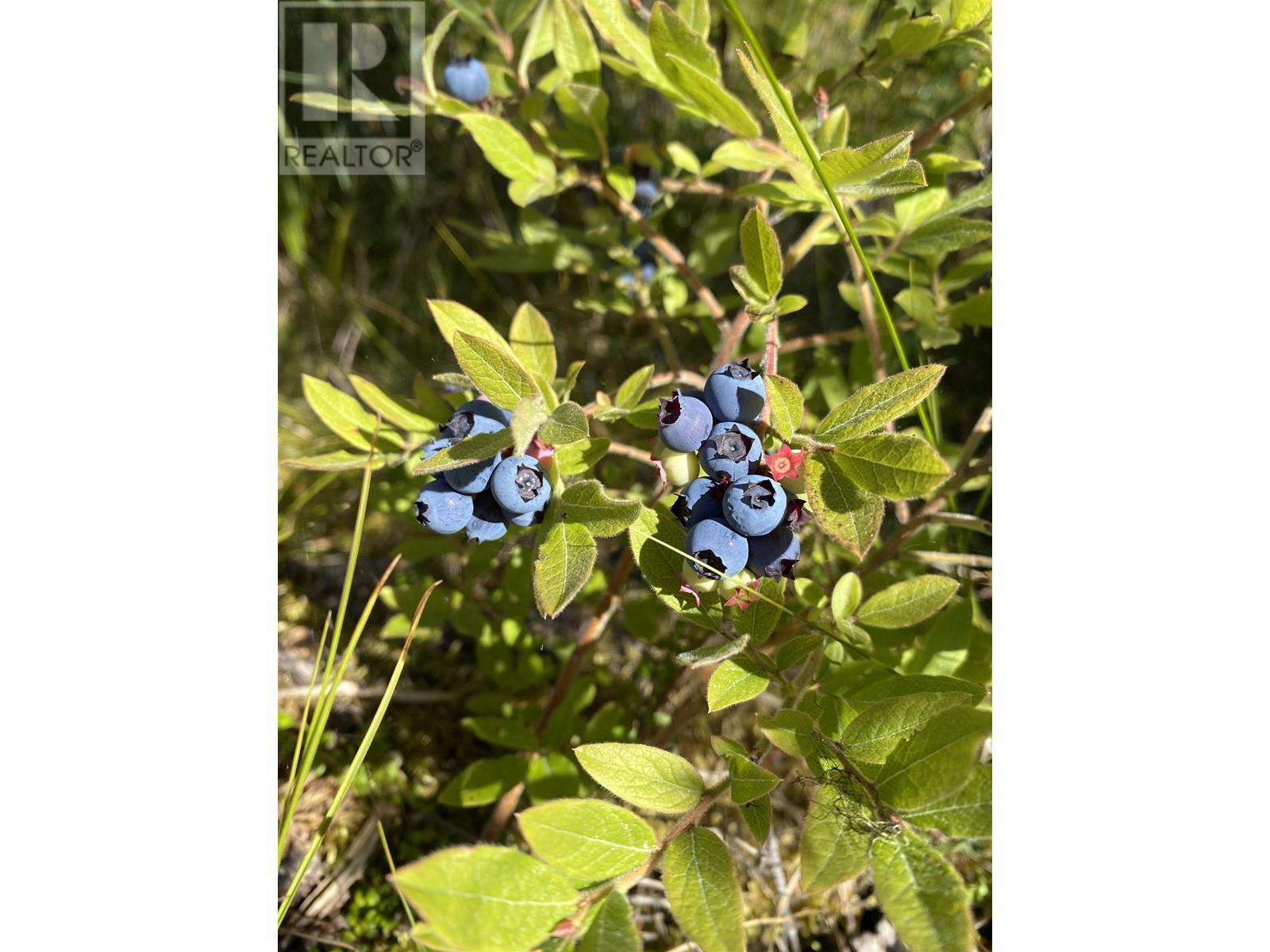 Blk A Hansard Lake, Prince George, BC