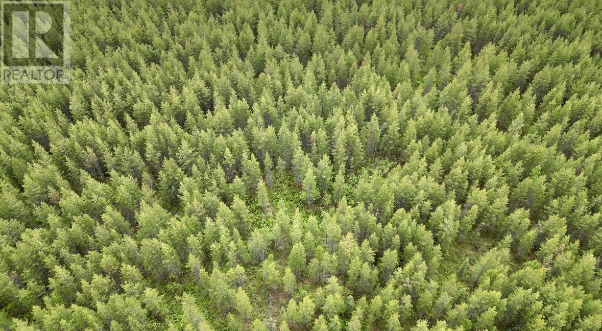 Blk A Hansard Lake, Prince George, BC