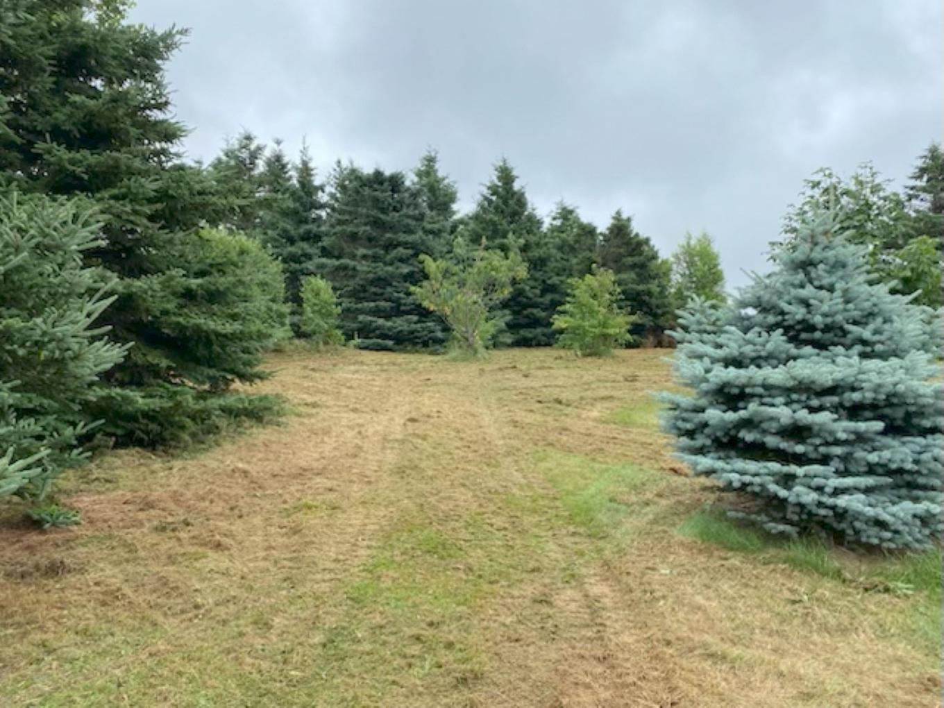 Maclauchlan Highlands, Stanhope, PE