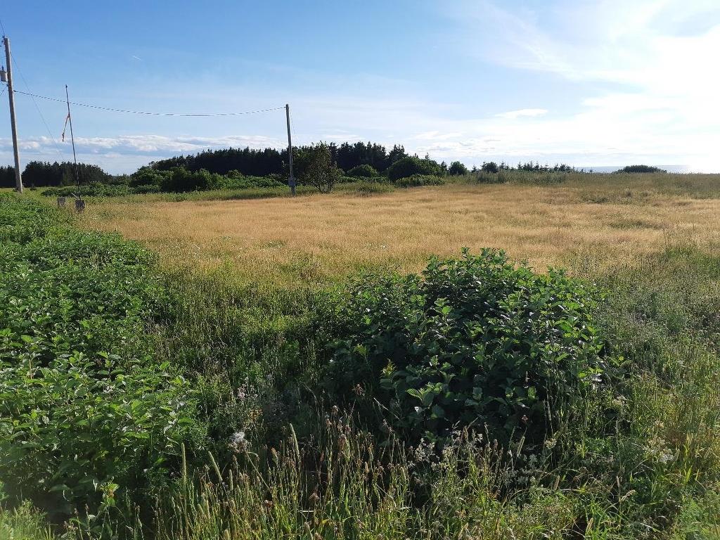 7391 Route 14, Burton, PE