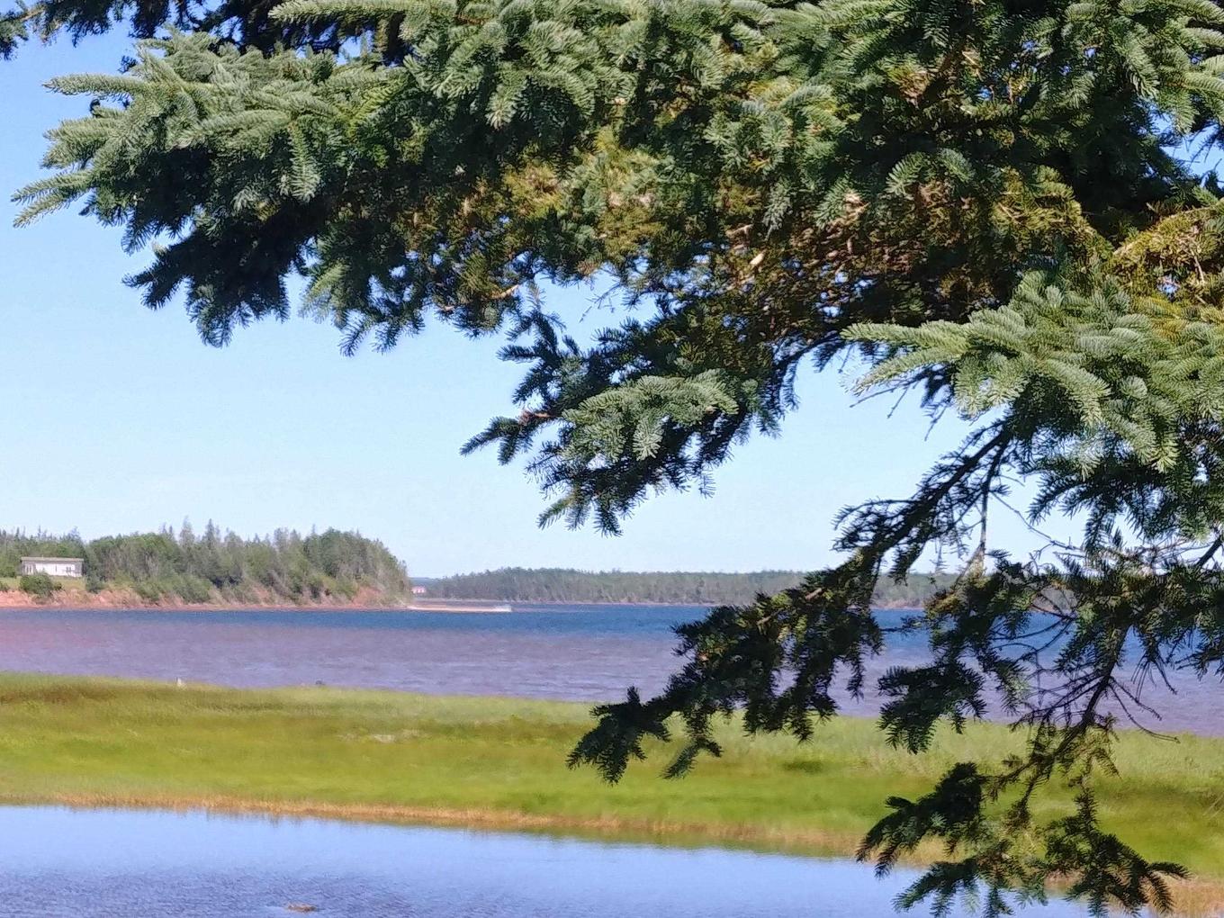 Lot 6 Birch Lane Lane, Georgetown Royalty, PE