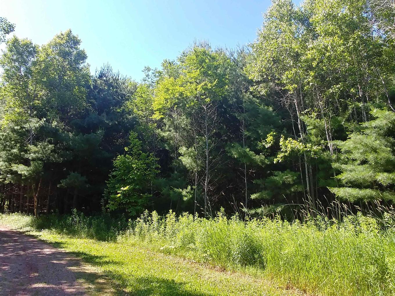 Lot 6 Birch Lane Lane, Georgetown Royalty, PE