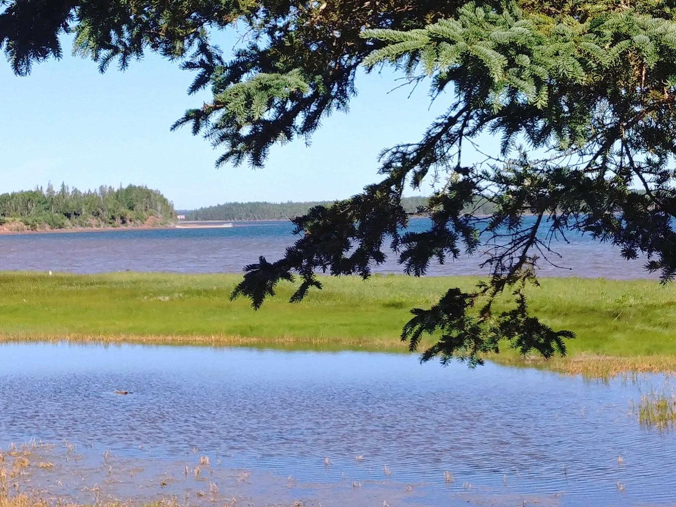 Lot 7 Birch Lane Lane, Georgetown Royalty, PE