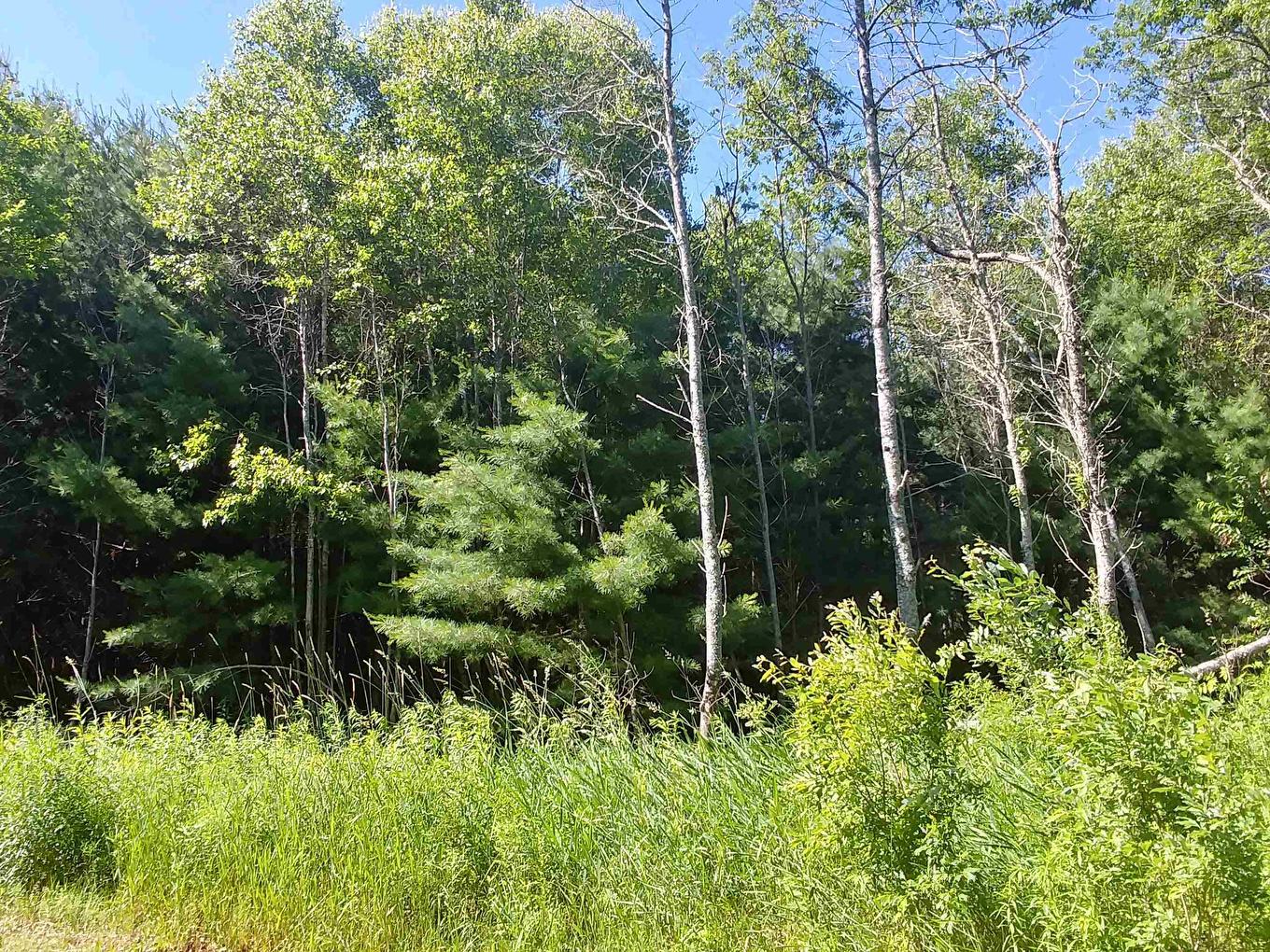 Lot 8 Birch Lane Lane, Georgetown Royalty, PE