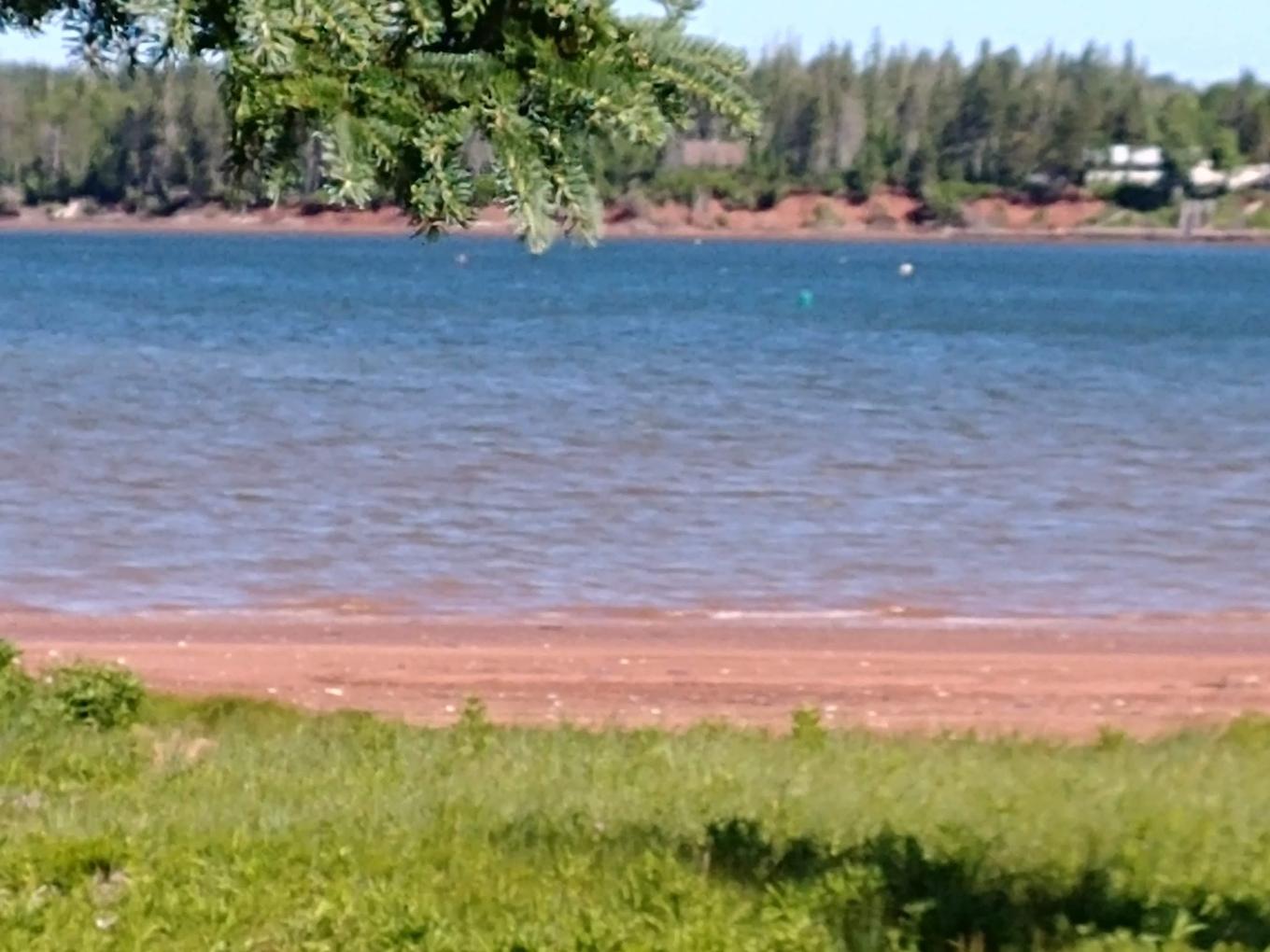 Lot 5 Birch Lane Lane, Georgetown Royalty, PE