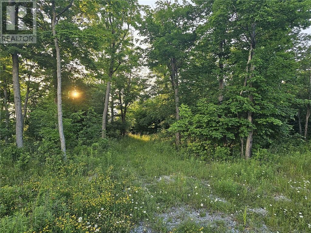 Lot 4 Green Bay Shores, Nemi, ON