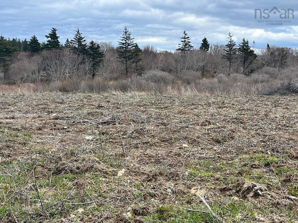 Lots D1 & D2 1 Highway, Mavillette, NS