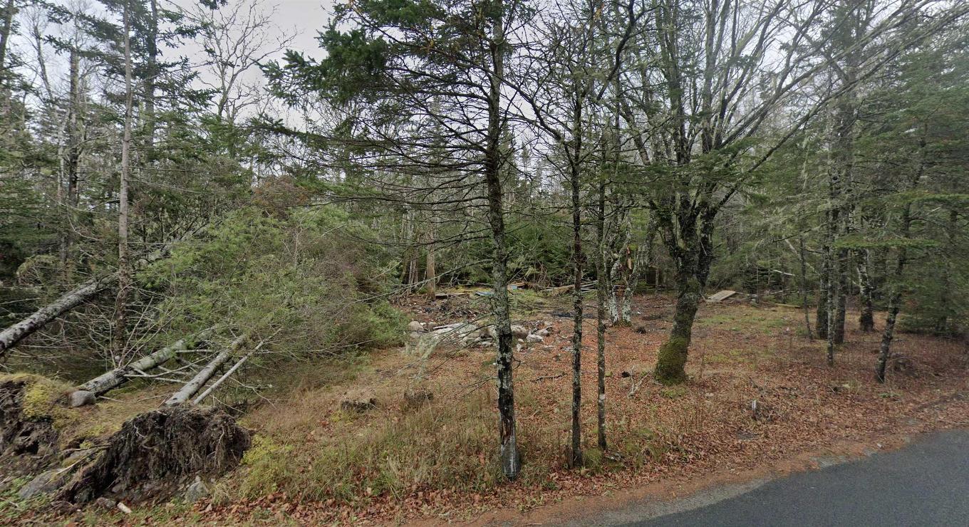 441 Conrads Road, Queensland, NS