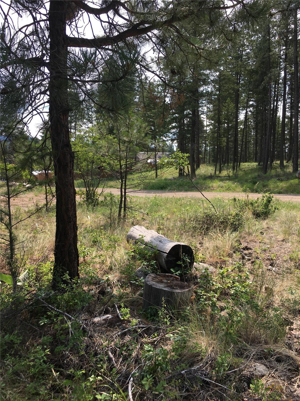 680 Fairbridge Road, Fintry, BC - Outdoor With View