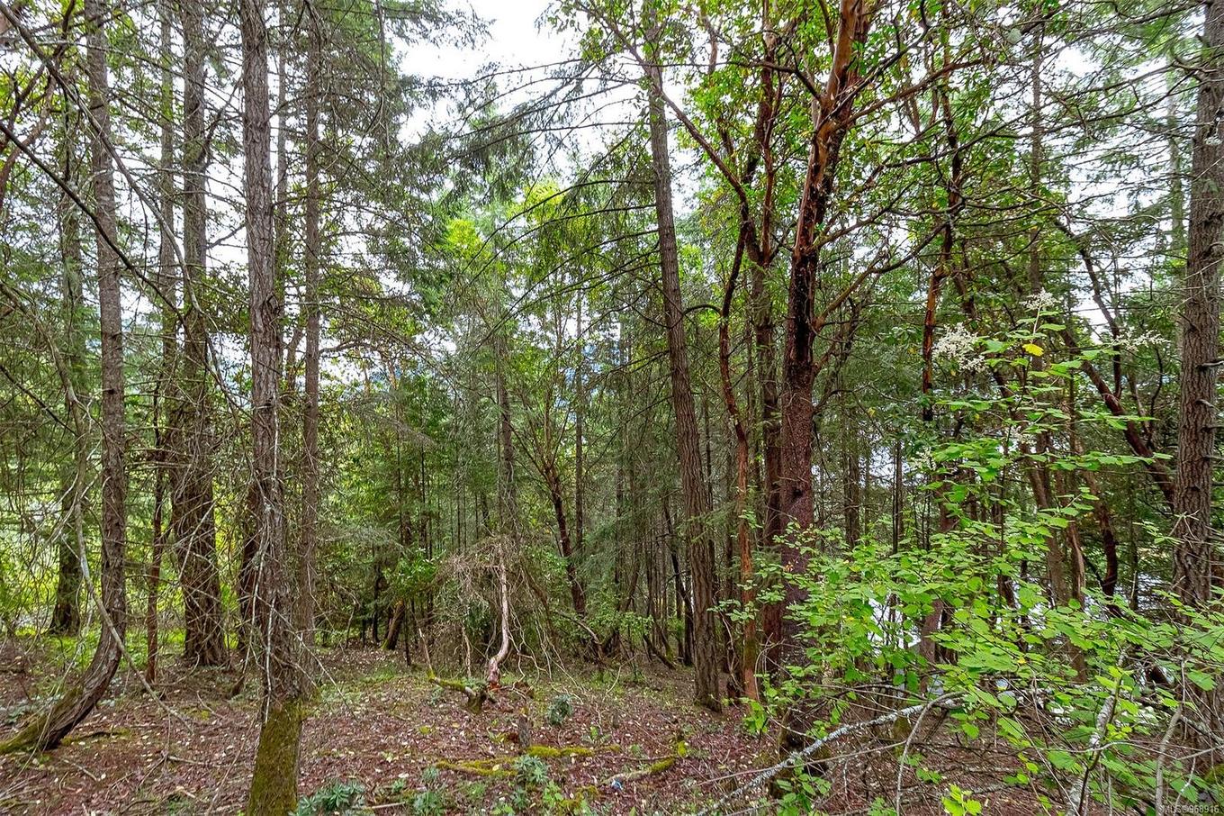 Lot 13 Bird'S Eye Dr, Duncan, BC