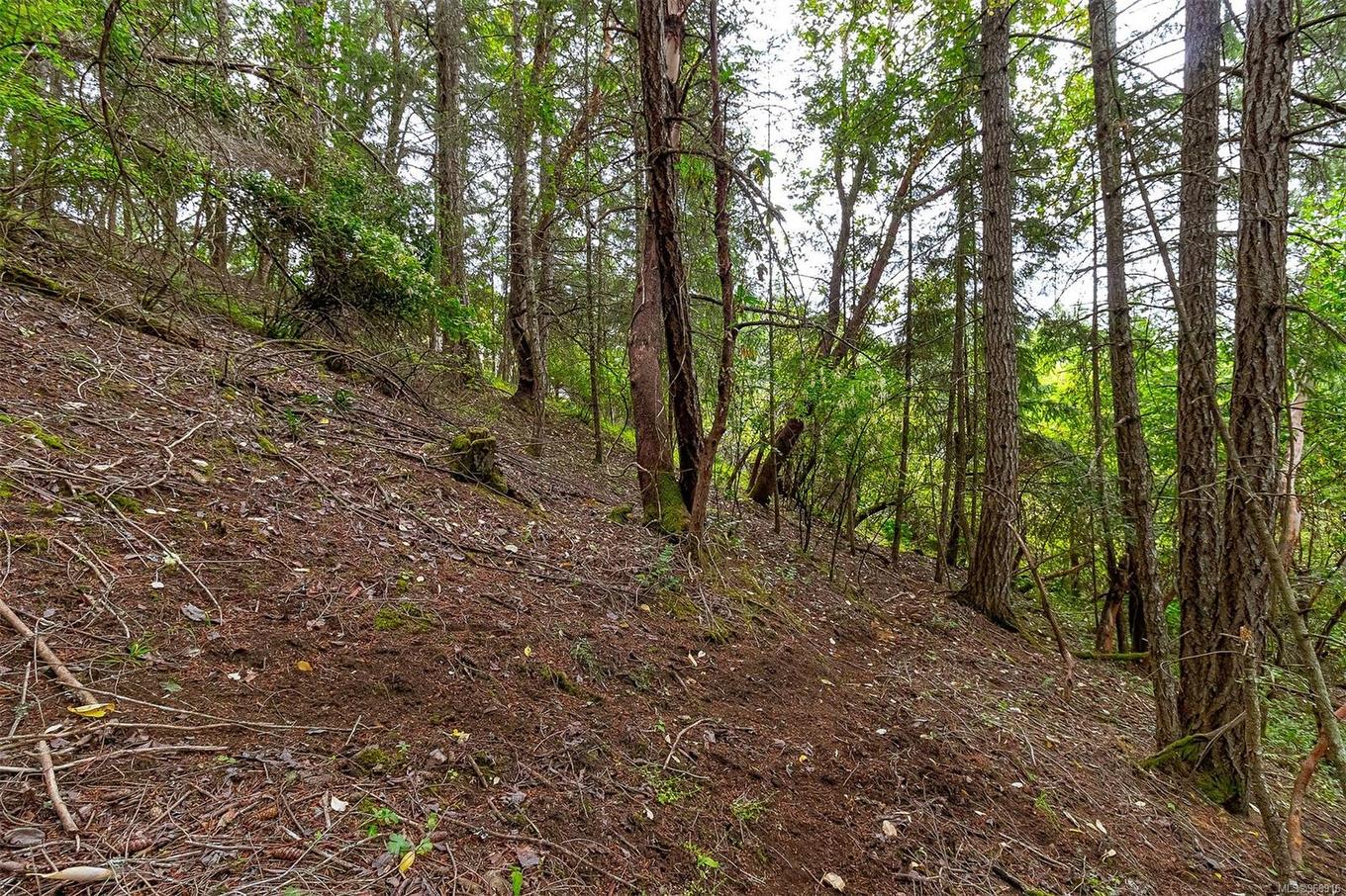 Lot 13 Bird'S Eye Dr, Duncan, BC