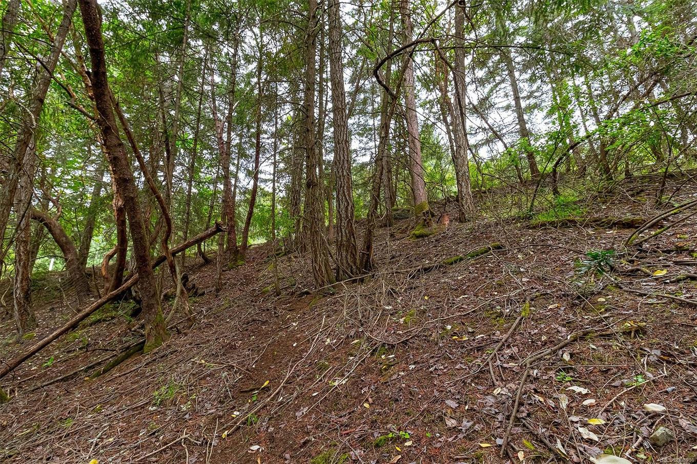 Lot 13 Bird'S Eye Dr, Duncan, BC