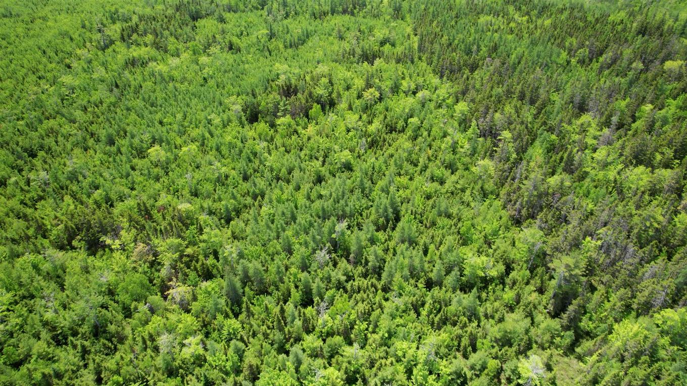 Acreage Port Hill Station Road, Tyne Valley, PE