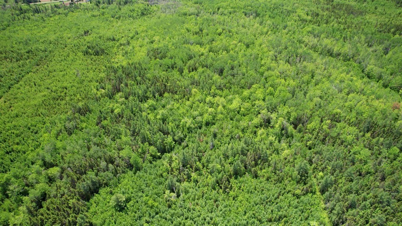 Acreage Port Hill Station Road, Tyne Valley, PE