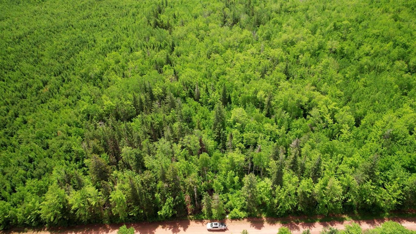 Acreage Port Hill Station Road, Tyne Valley, PE