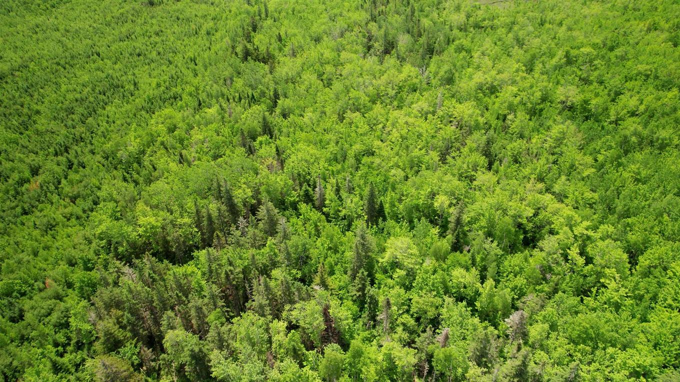 Acreage Port Hill Station Road, Tyne Valley, PE