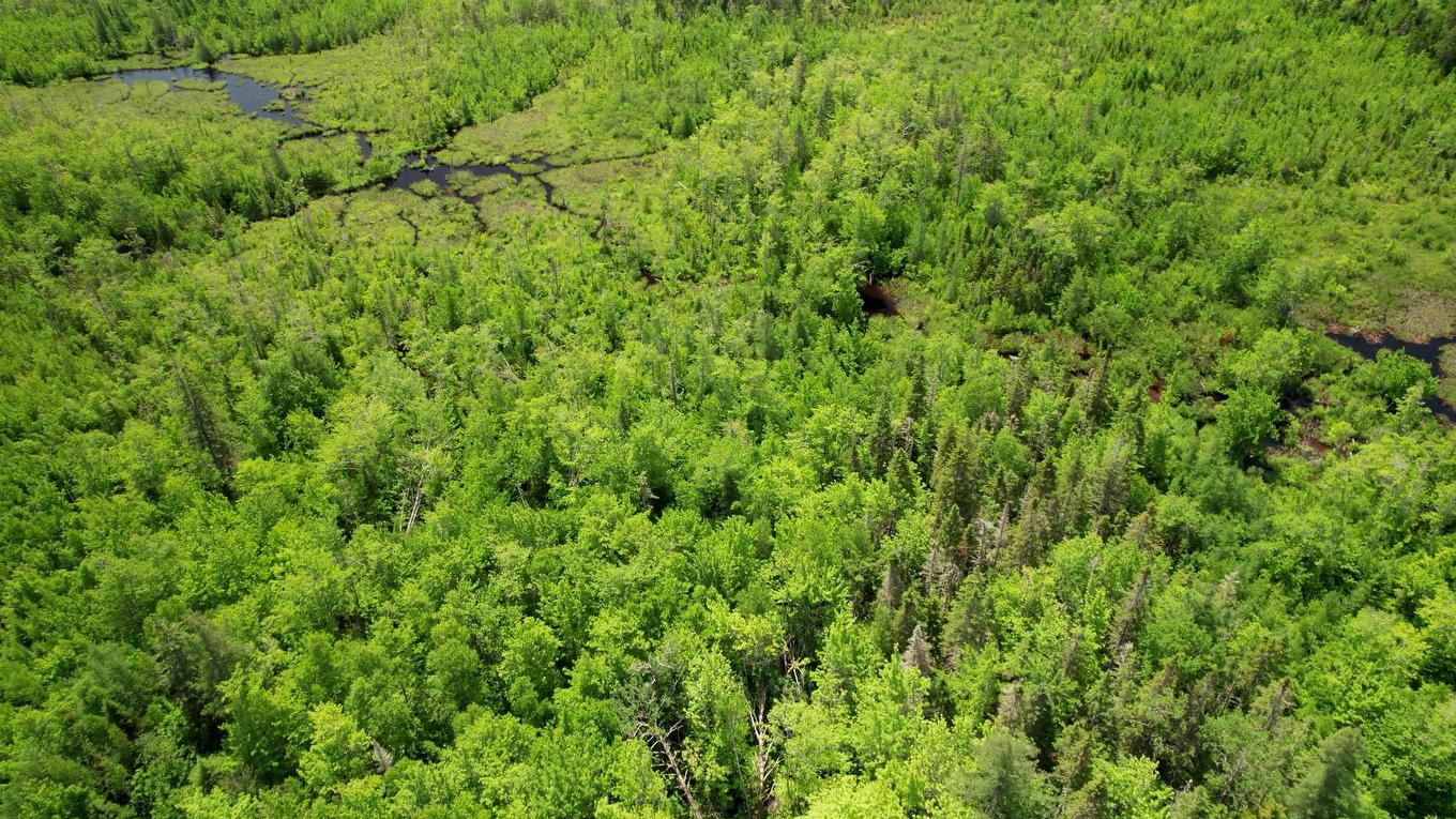 Acreage Port Hill Station Road, Tyne Valley, PE