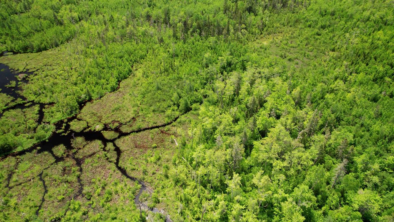 Acreage Port Hill Station Road, Tyne Valley, PE