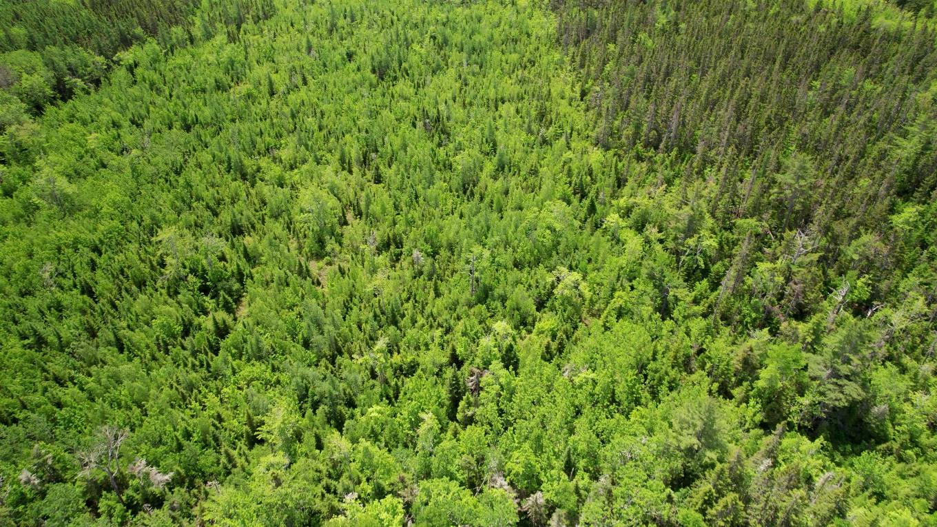 Acreage Port Hill Station Road, Tyne Valley, PE