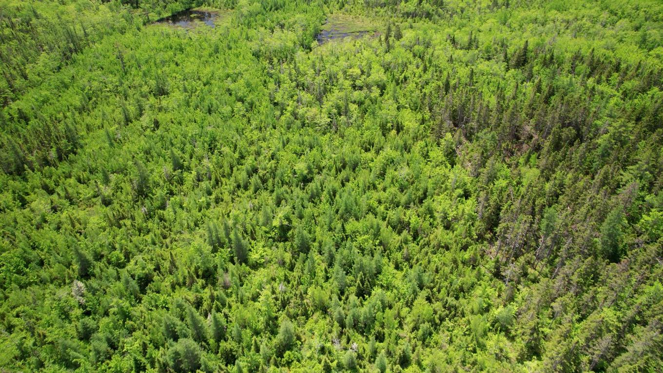 Acreage Port Hill Station Road, Tyne Valley, PE