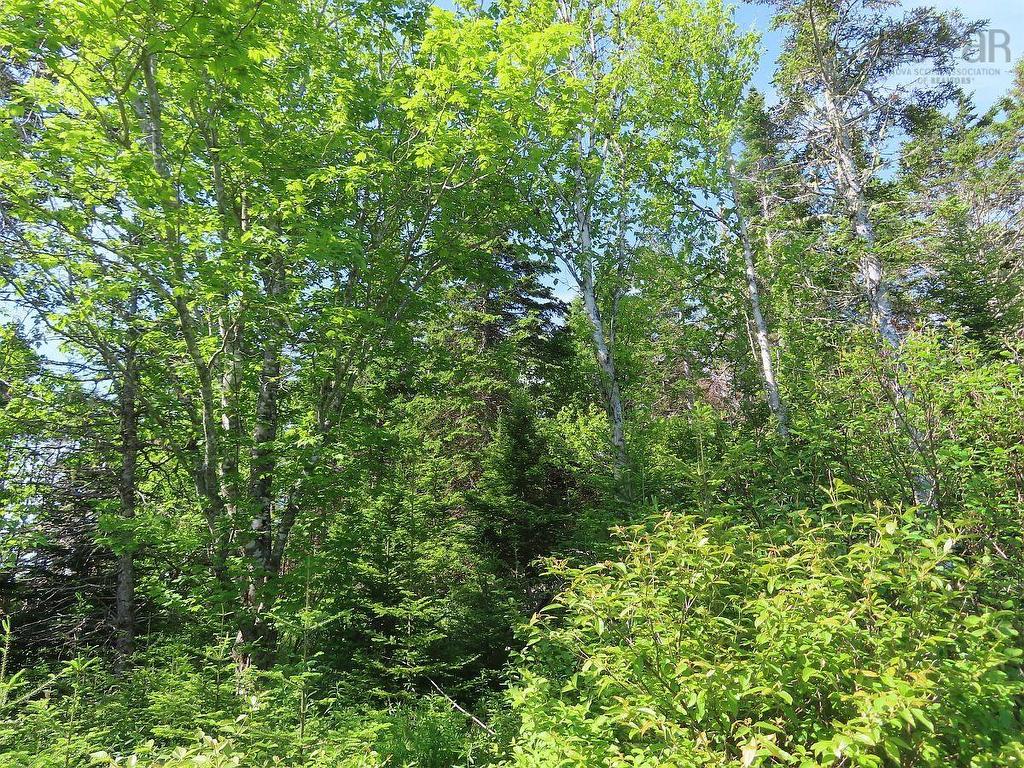 Lot 2 Old Trunk 4 Highway, Soldiers Cove, NS