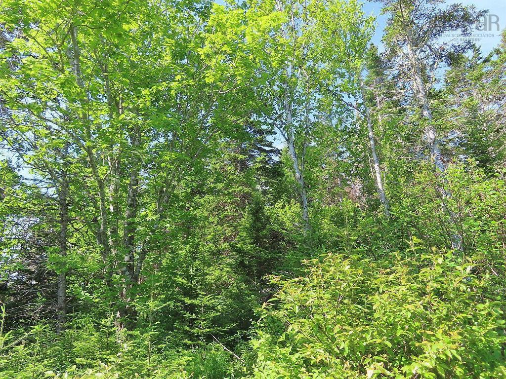 Lot 2 Old Trunk 4 Highway, Soldiers Cove, NS