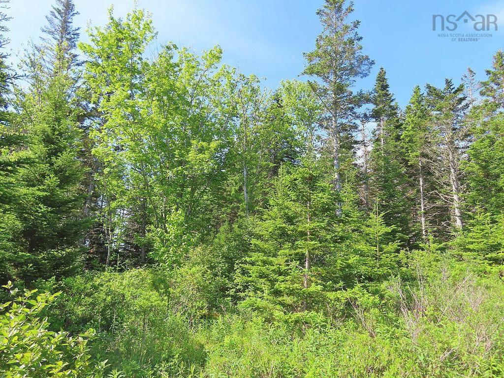 Lot 2 Old Trunk 4 Highway, Soldiers Cove, NS