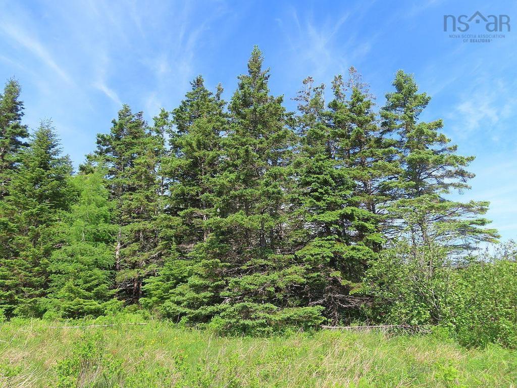 Lot 2 Old Trunk 4 Highway, Soldiers Cove, NS