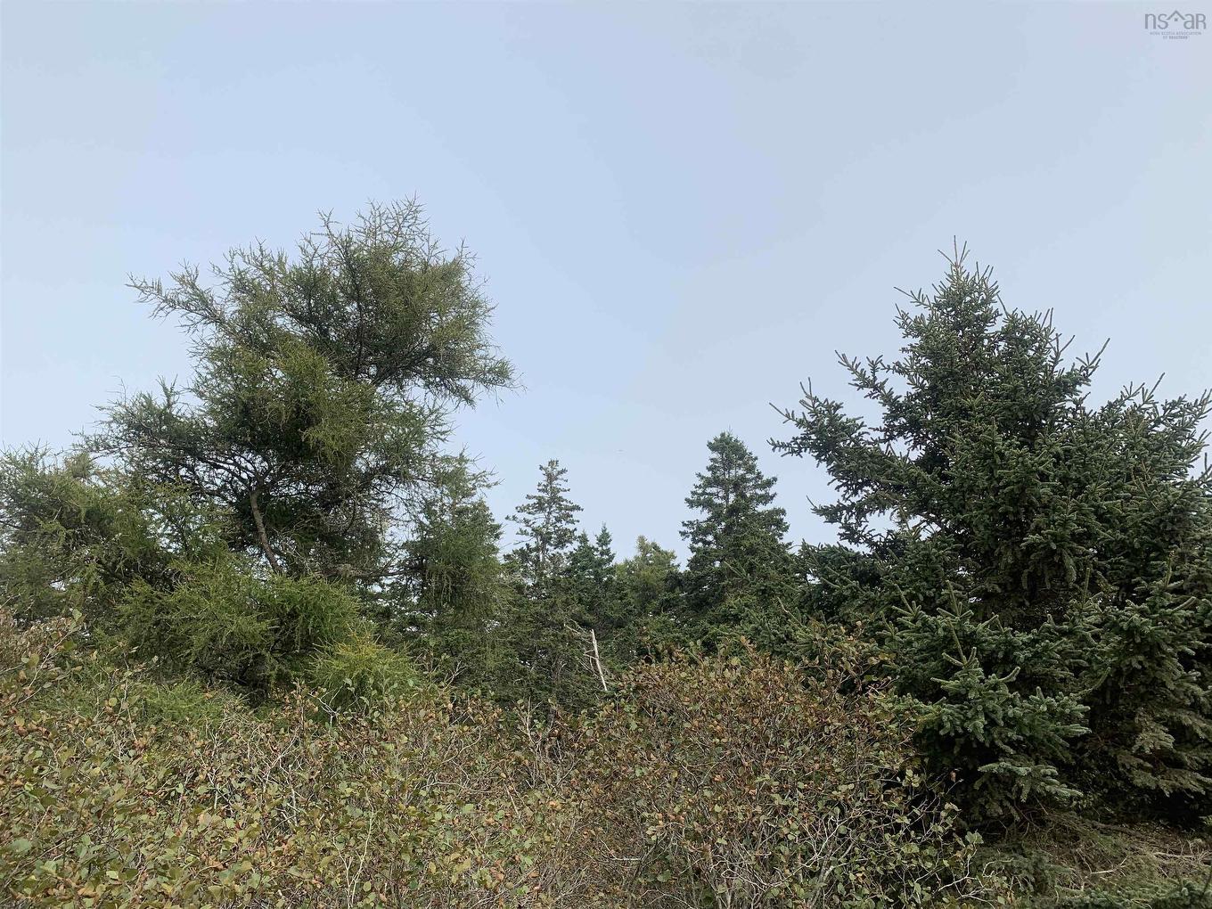 Lot C Leblanc Branch Road, Mavillette, NS