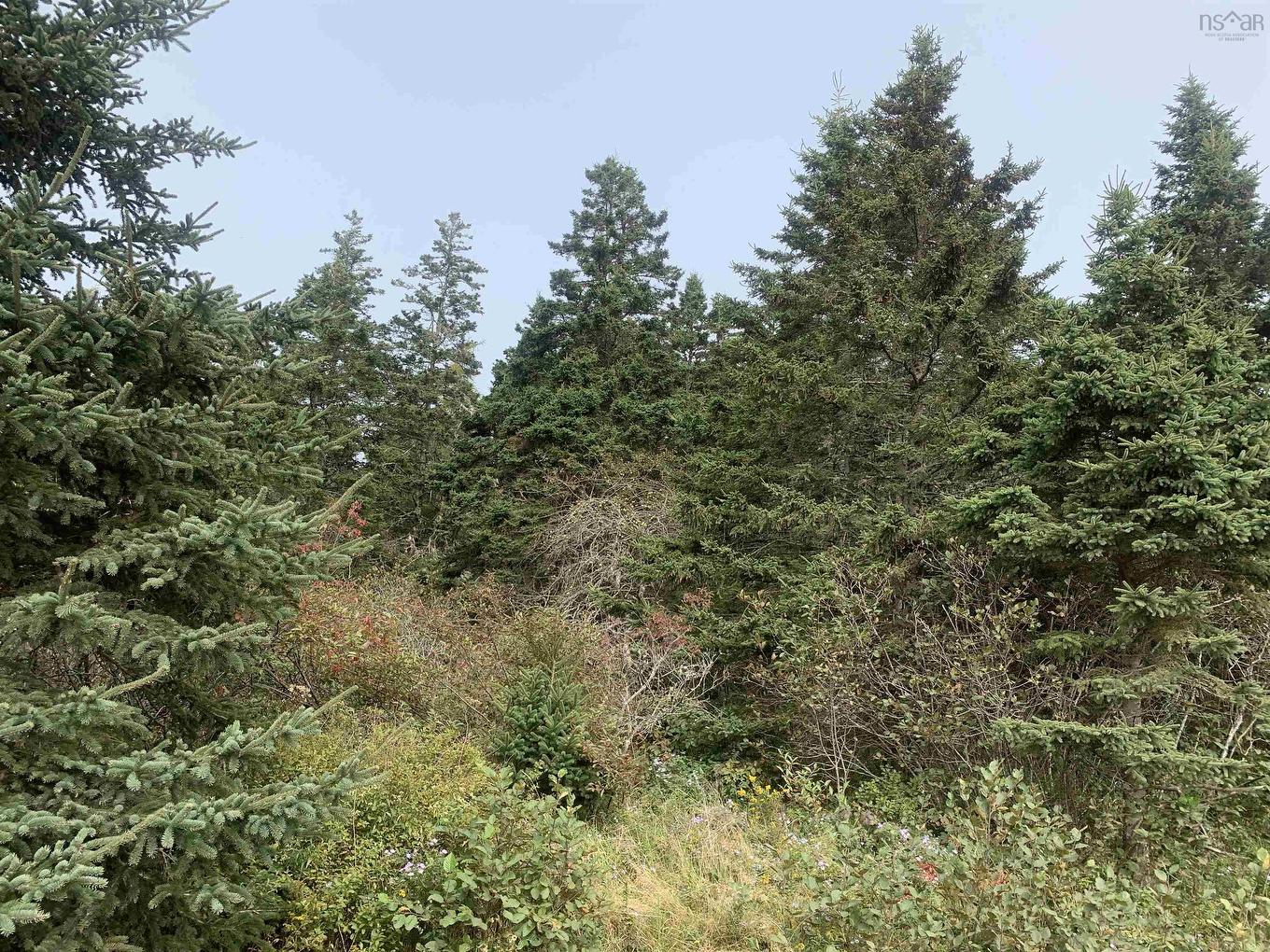 Lot C Leblanc Branch Road, Mavillette, NS