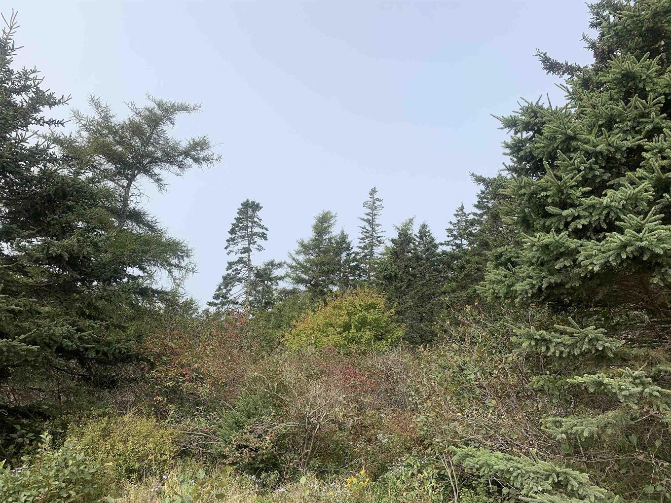 Lot C Leblanc Branch Road, Mavillette, NS