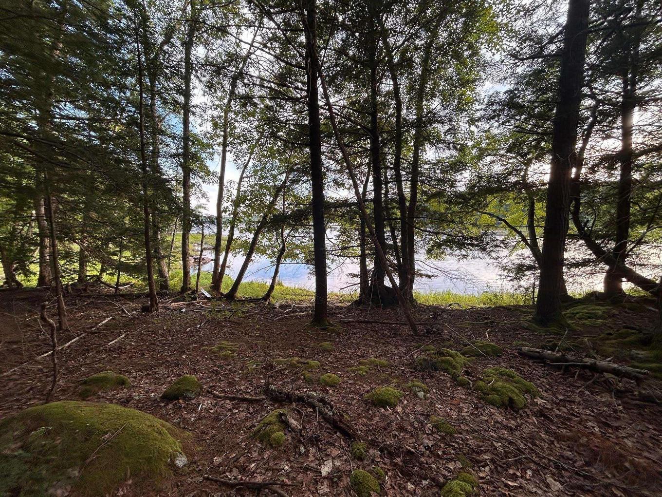 Lot 27 Maplesue Point Drive, Molega, NS