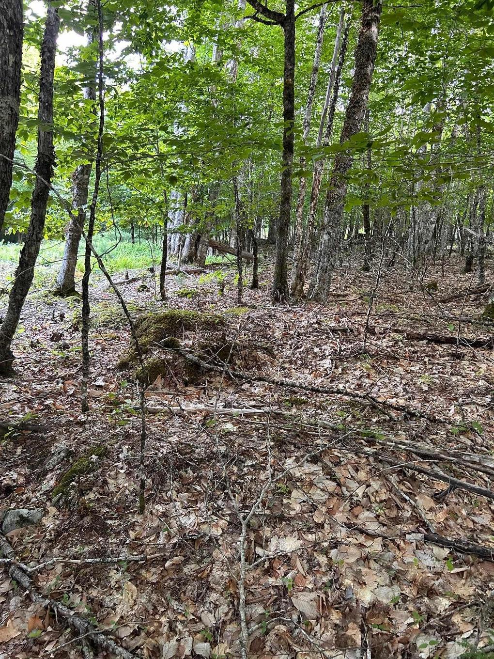 Lot 27 Maplesue Point Drive, Molega, NS