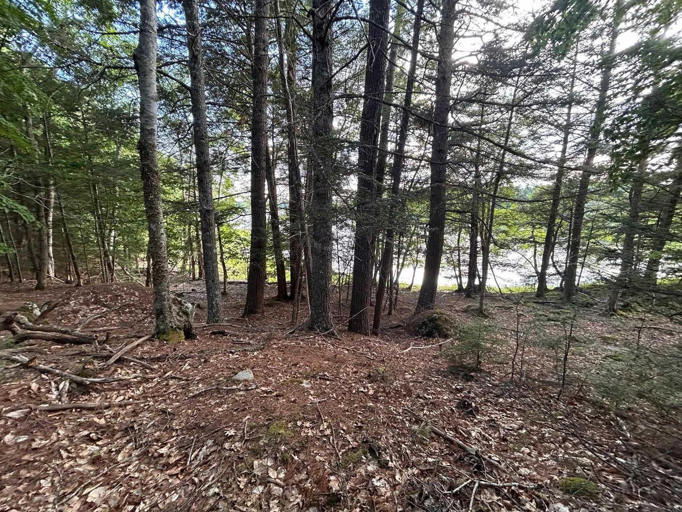 Lot 27 Maplesue Point Drive, Molega, NS