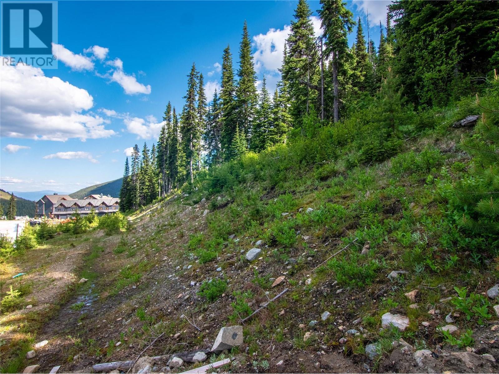 244 Creekview Road Lot# 1, Apex Mountain, BC