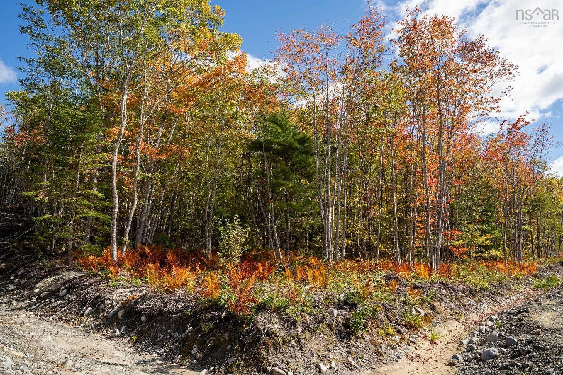 89 Morton Drive, Liverpool, NS