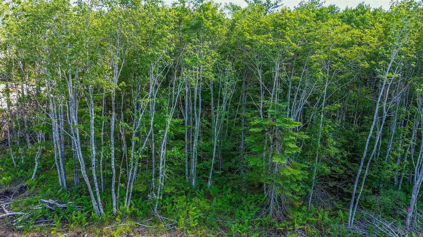 69 Morton Drive, Liverpool, NS