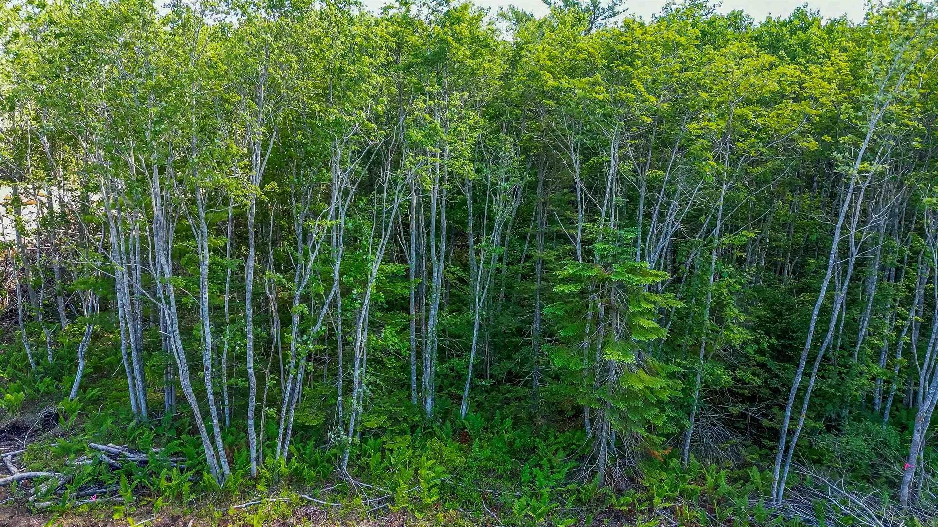69 Morton Drive, Liverpool, NS