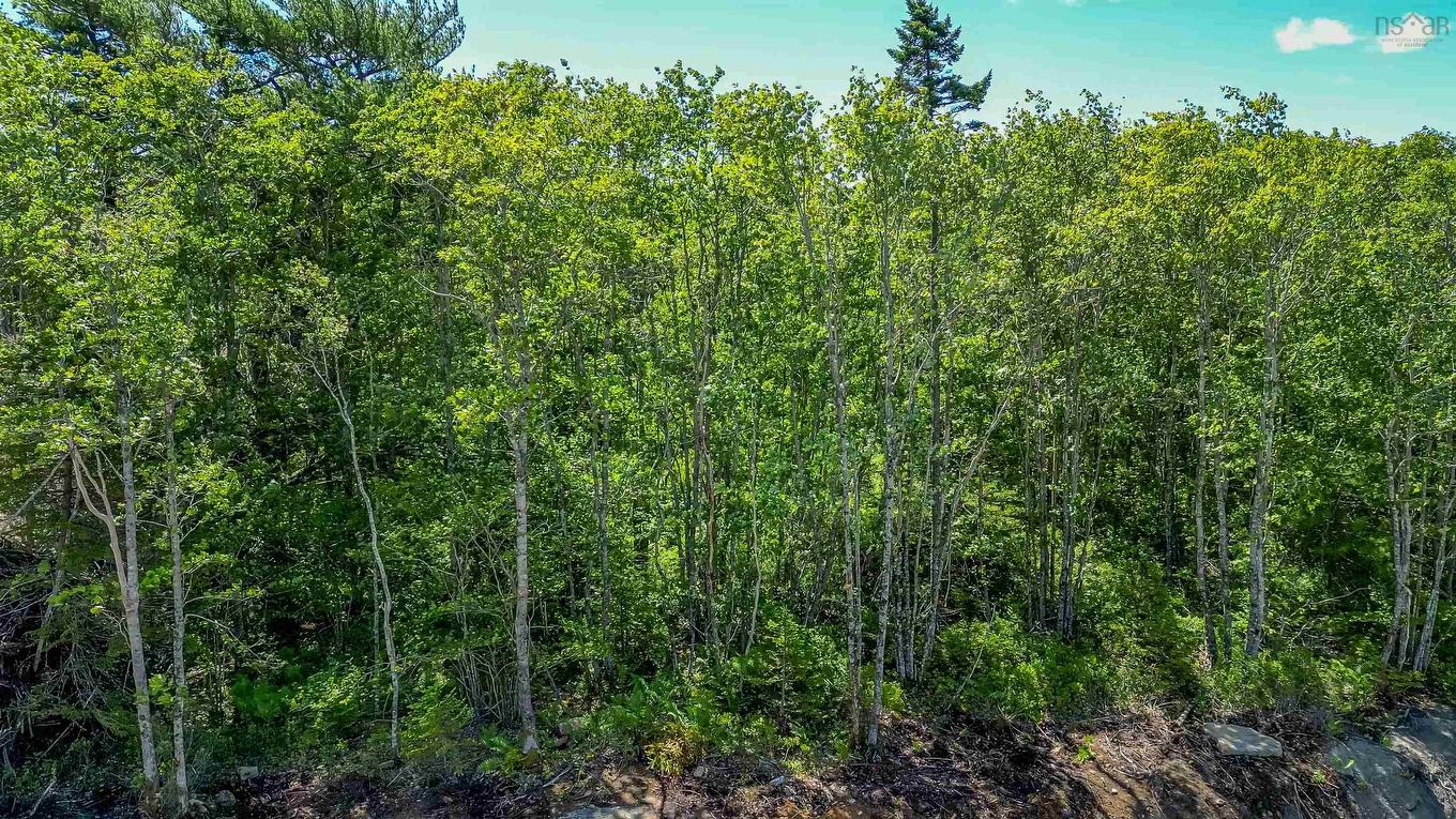 70 Morton Drive, Liverpool, NS